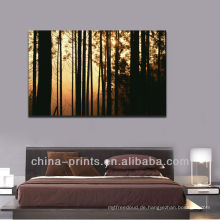 Beeindruckender Sonnenaufgang Wald Bild Leinwand drucken